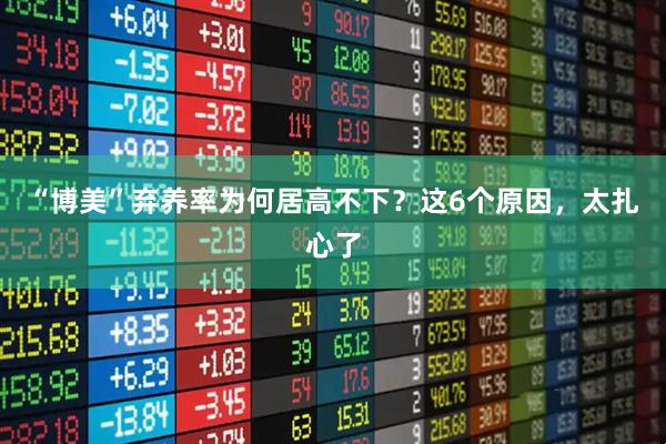 “博美”弃养率为何居高不下？这6个原因，太扎心了