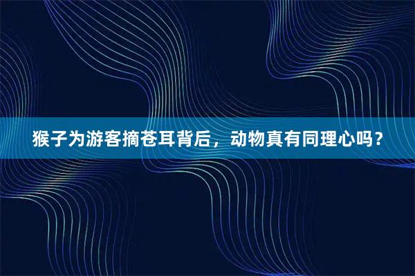 猴子为游客摘苍耳背后，动物真有同理心吗？