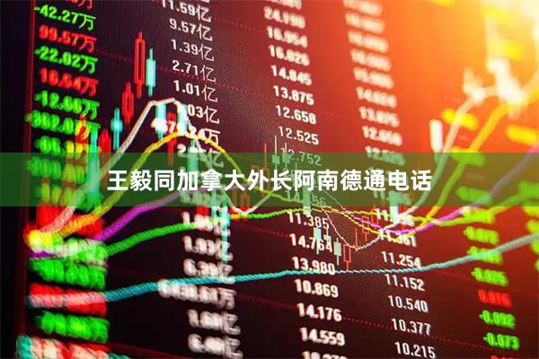 王毅同加拿大外长阿南德通电话